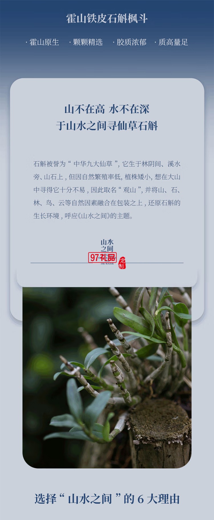 斛生記霍山鐵皮石斛楓斗山水之間觀山石斛禮盒