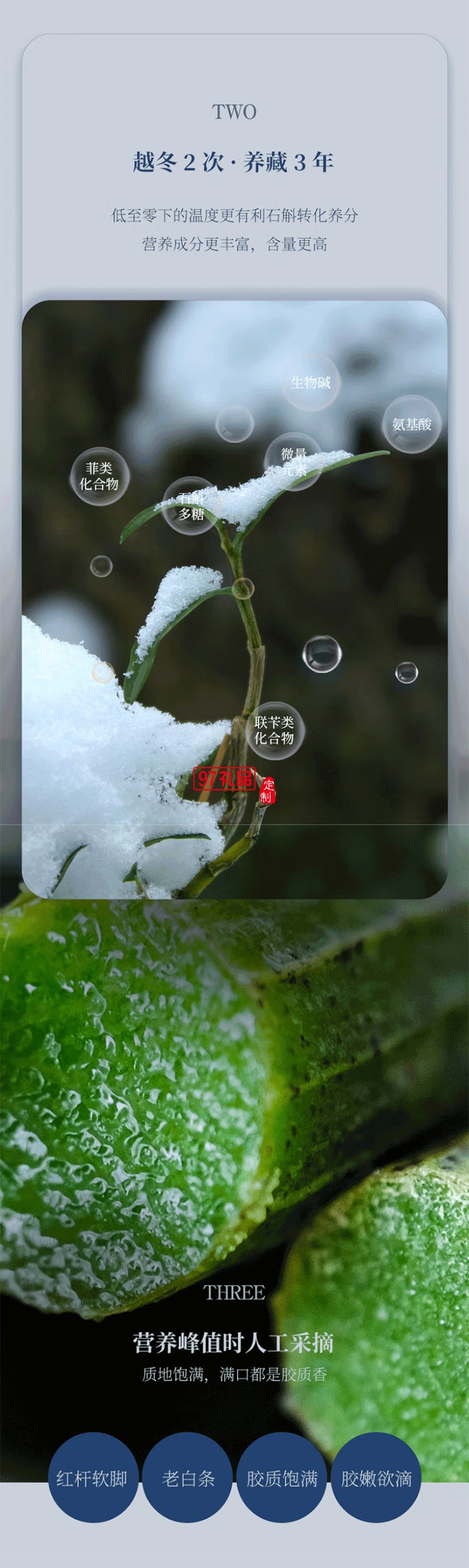 斛生記霍山鐵皮石斛楓斗山水之間觀山石斛禮盒